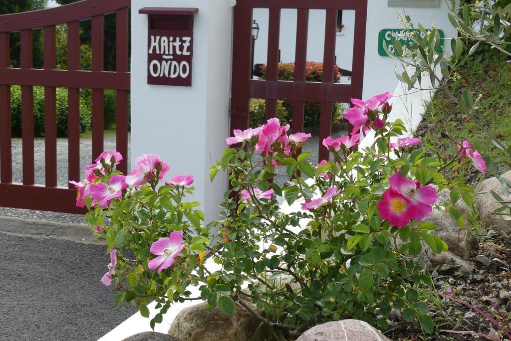 Chambres D'Hotes Haitz Ondo Hasparren Esterno foto